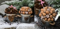 /album/fotogaleria1/dsc-5521-jpg/